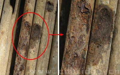斜拉索钢丝蚀坑