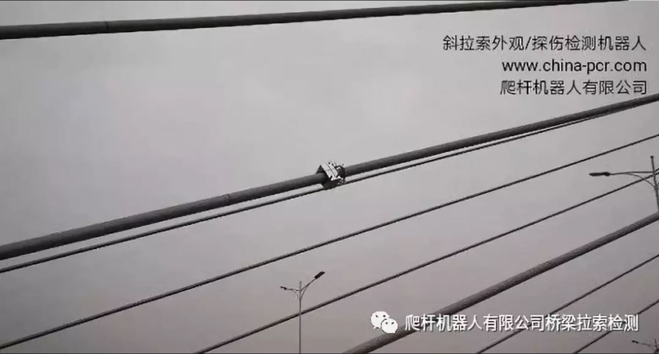 PG-17-30检测机器人正在进行斜拉索外观检查